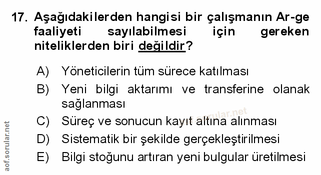Soru 17