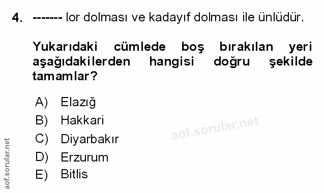 Soru 4
