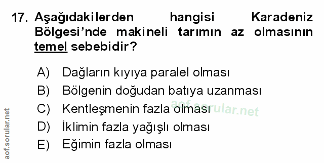 Soru 17
