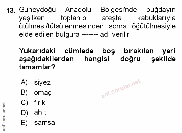 Soru 13