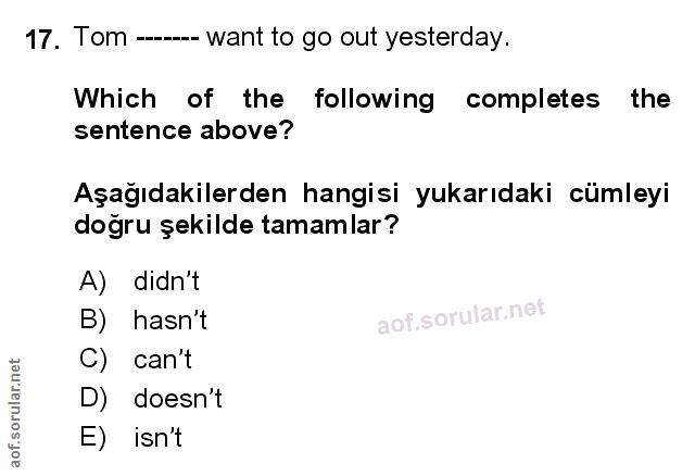 Soru 17