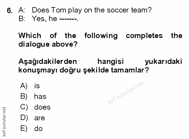Soru 6