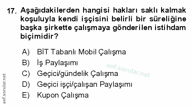 Soru 17