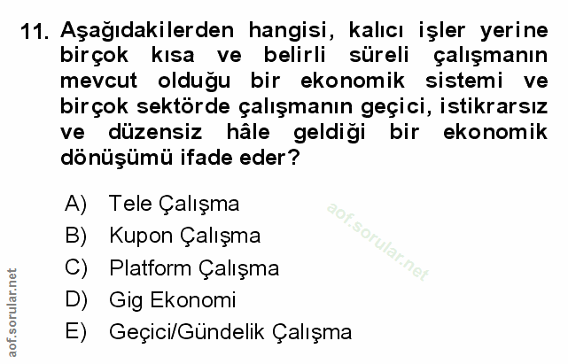 Soru 11