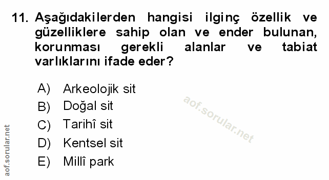 Soru 11