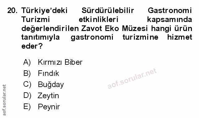 Soru 20