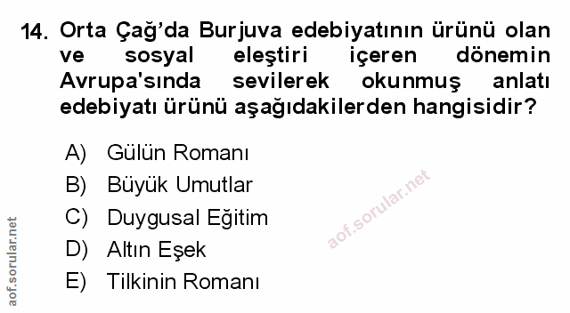 Soru 14