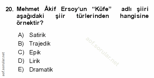 Soru 20