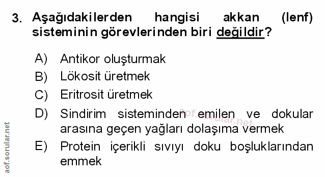 Soru 3