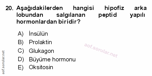 Soru 20