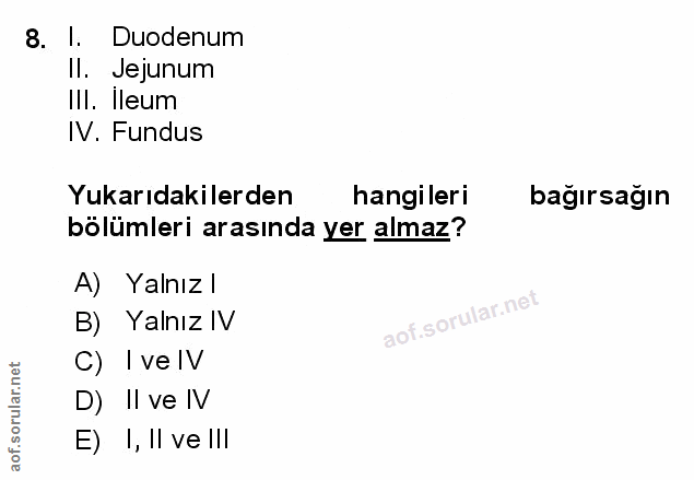 Soru 8