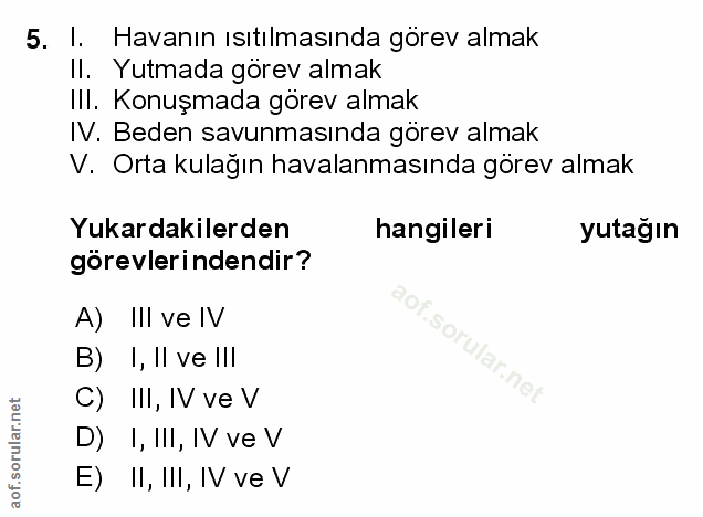 Soru 5