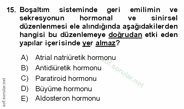 Soru 15