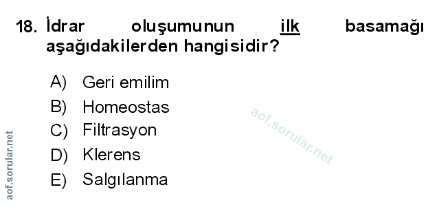 Soru 18