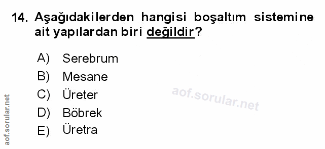 Soru 14
