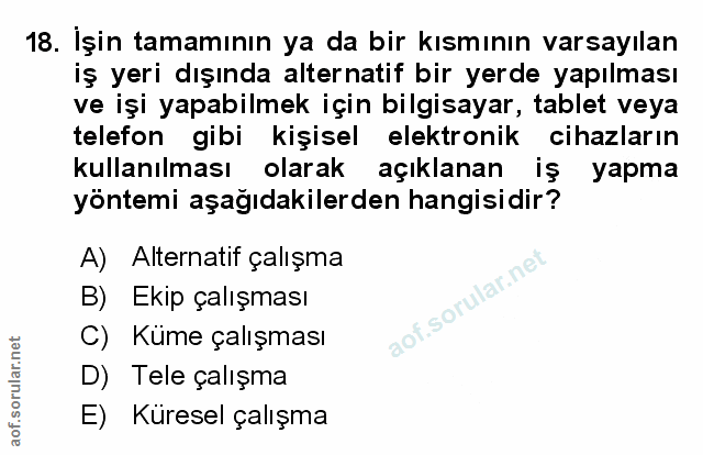 Soru 18