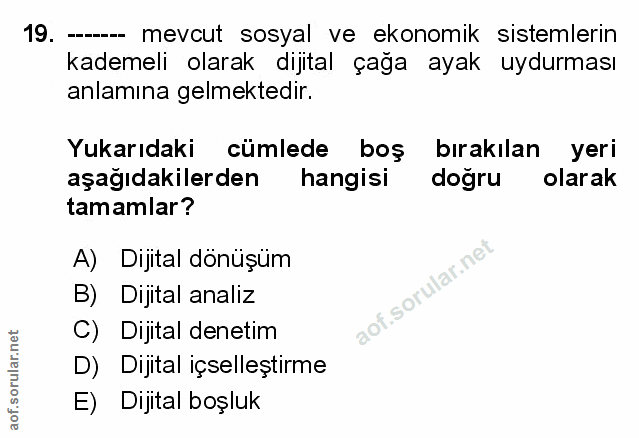 Soru 19