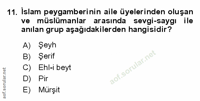 Soru 11