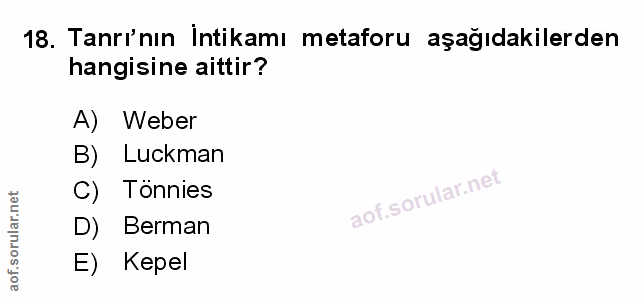 Soru 18