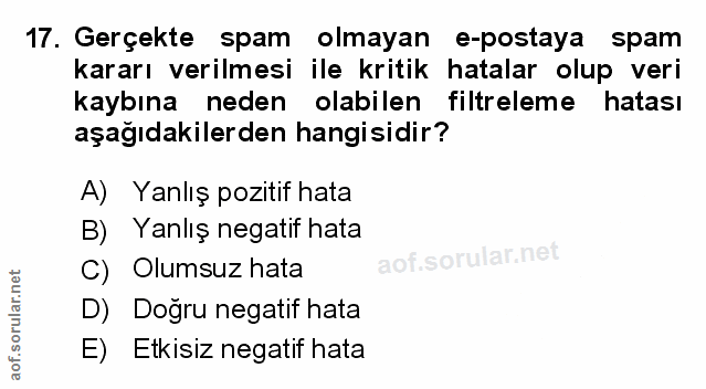 Soru 17