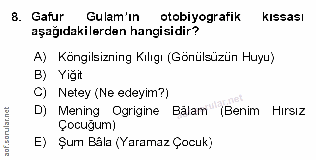 Soru 8