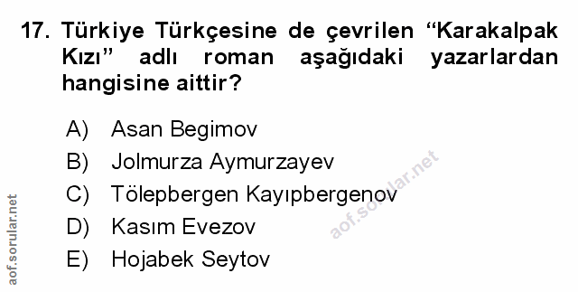 Soru 17