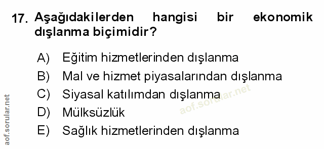 Soru 17