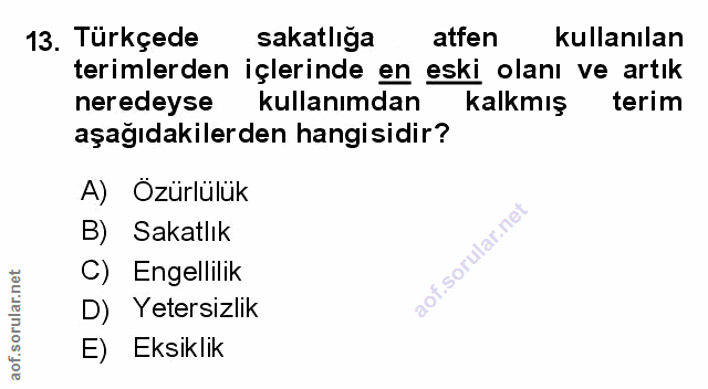 Soru 13
