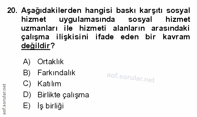 Soru 20