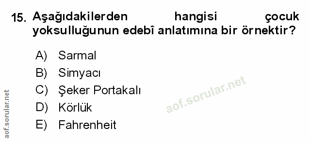 Soru 15