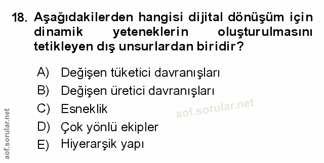 Soru 18