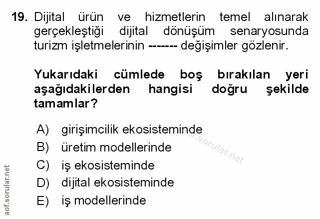 Soru 19