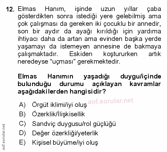 Soru 12