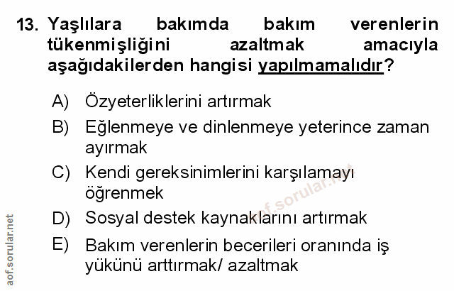 Soru 13
