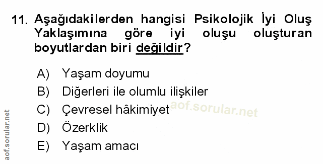 Soru 11