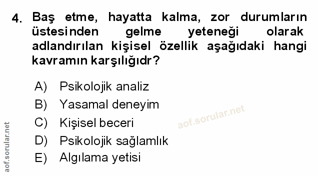 Soru 4