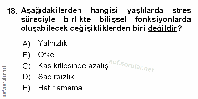 Soru 18