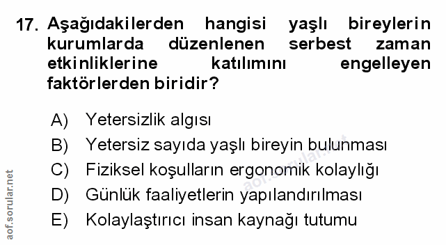 Soru 17