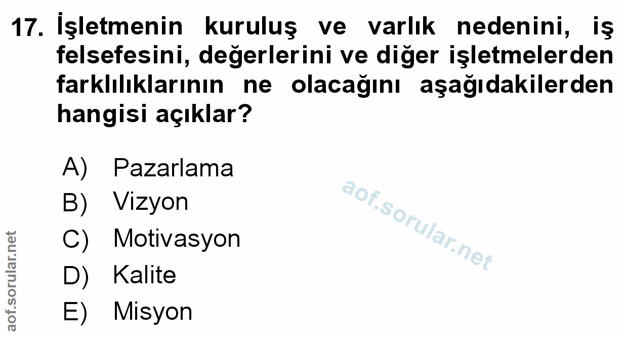 Soru 17