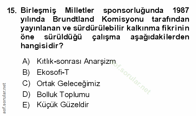 Soru 15