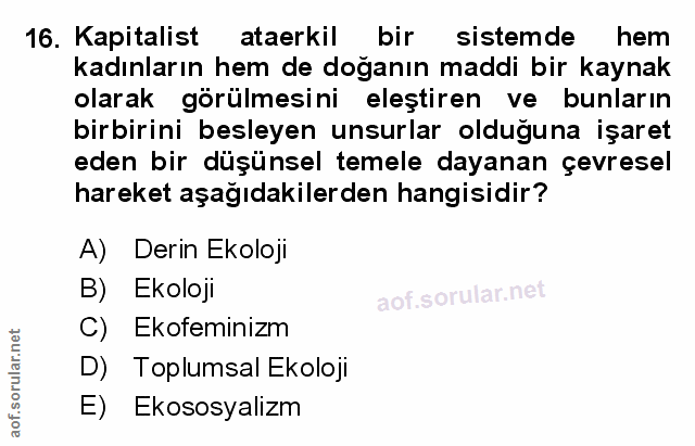 Soru 16