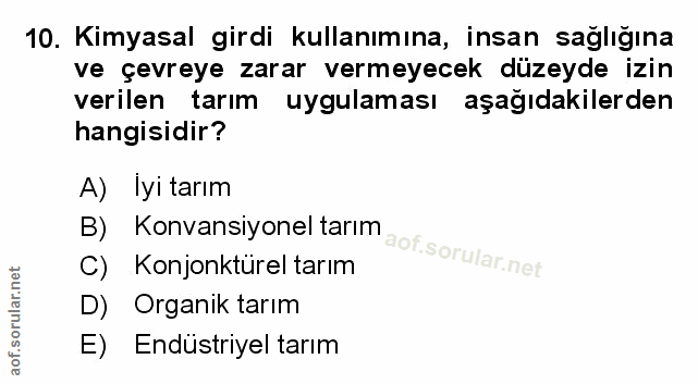 Soru 10