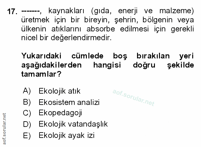 Soru 17