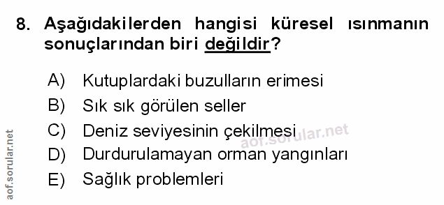 Soru 8