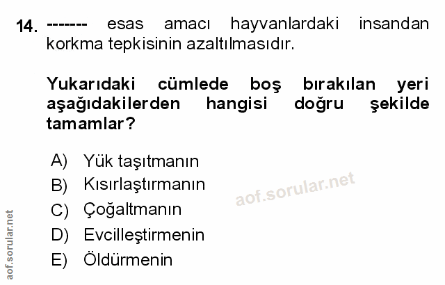 Soru 14