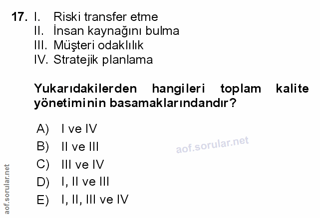 Soru 17