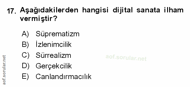 Soru 17