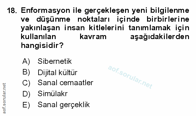 Soru 18