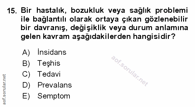 Soru 15