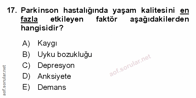 Soru 17
